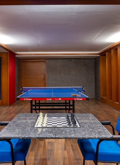 Indoor Game